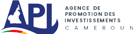 Investment Promotion Agency of Cameroon (API) logo